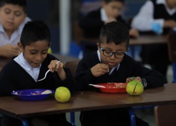 Programa de alimentos llega a miles de centros educativos. /Foto: Gilber García