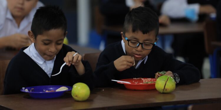 Programa de alimentos llega a miles de centros educativos. /Foto: Gilber García