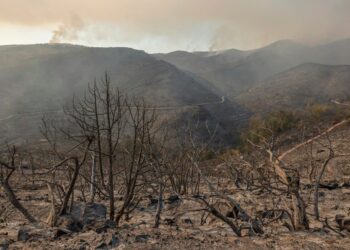 El reto para Latinoamérica es adaptarse al cambio climático más que mitigarlo