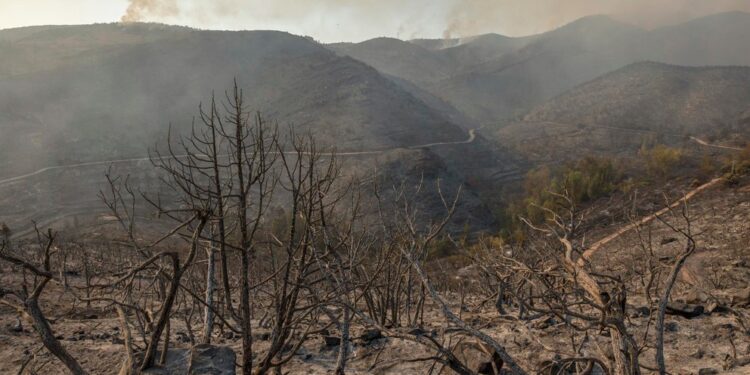 El reto para Latinoamérica es adaptarse al cambio climático más que mitigarlo