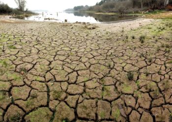 ONU pide unir esfuerzos en lucha contra el cambio climático