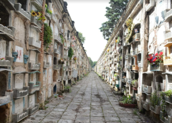 Más de 2 millones de personas visitaron cementerios el 1 de noviembre