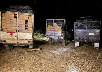 Cinco vehículos con cigarrillos de contrabando fueron localizados en Petén.