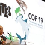 Se celebra la 19 Conferencia Mundial sobre Vida Silvestre CoP19 CITES