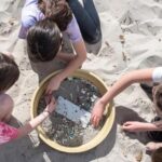 La contaminación por microplásticos amenaza las lagunas costeras del planeta