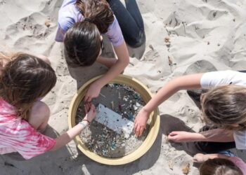 La contaminación por microplásticos amenaza las lagunas costeras del planeta