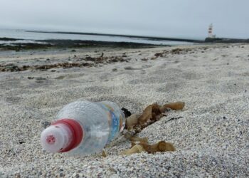 contaminación