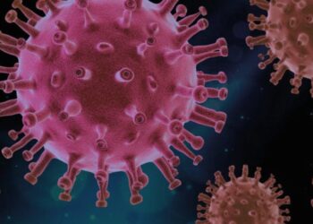 Identifican nueva proteína del coronavirus que abre puerta a tratamientos