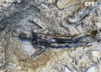 Hallan en Italia 24 estatuas romanas y etruscas