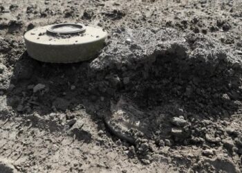 Ucrania ha desminado más de 64 mil hectáreas de territorio liberado