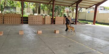 Agentes caninos apoyaron en la capacitación al personal de seguridad. /Foto: Mingob