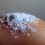 Contaminación por microplásticos amenaza las lagunas costeras del planeta