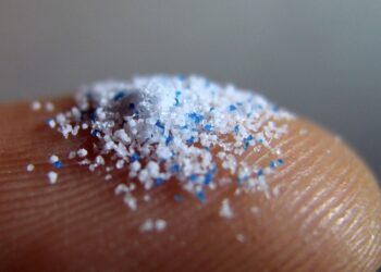 Estudio alerta sobre efectos de niveles de contaminación por microplásticos