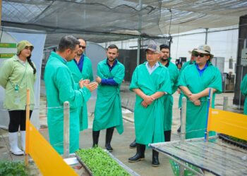 Impulsan trabajo de exportadores de productos agropecuarios