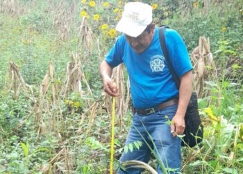 MARN efectúa monitoreo de áreas reforestadas del país