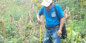 MARN efectúa monitoreo de áreas reforestadas del país