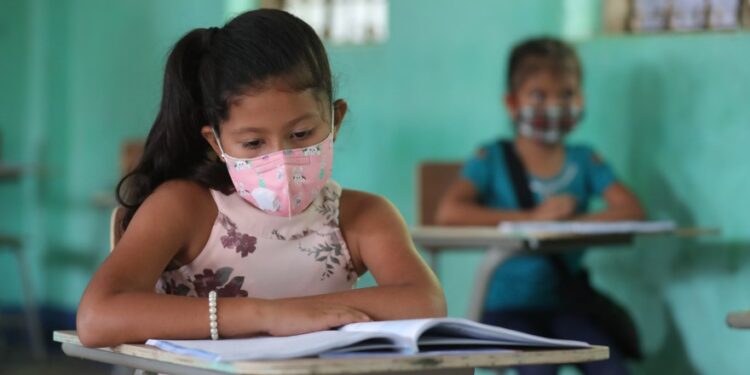 El cerebro infantil está programado para aprender más rápido que el de los adultos