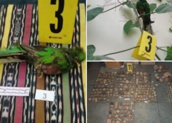 Localizan mil 222 piezas arqueológicas mayas durante allanamientos en Sacatepéquez