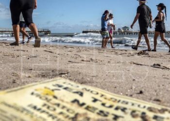 Nicole disminuye la fuerza de sus vientos