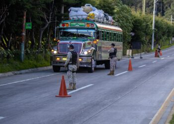 Verifican productos de pinabete como parte del plan de control navideño