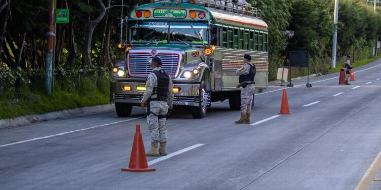 Verifican productos de pinabete como parte del plan de control navideño