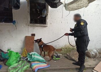 Efectúan requisa en Granja Modelo de Rehabilitación Pavón