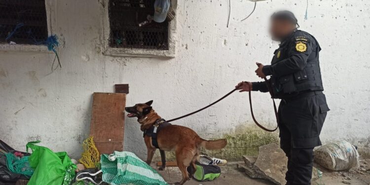 Efectúan requisa en Granja Modelo de Rehabilitación Pavón