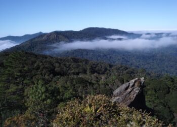 Promueven acciones para resguardar las reservas de biosfera en Guatemala