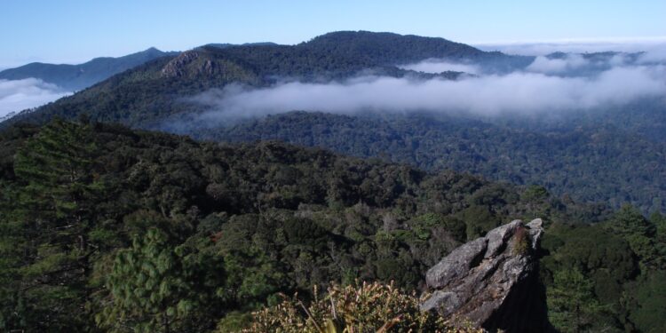 Promueven acciones para resguardar las reservas de biosfera en Guatemala