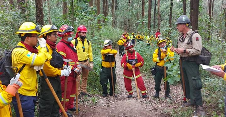 Personal de primera respuesta se prepara para el combate de incendios forestales