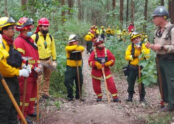 Personal de primera respuesta se prepara para el combate de incendios forestales
