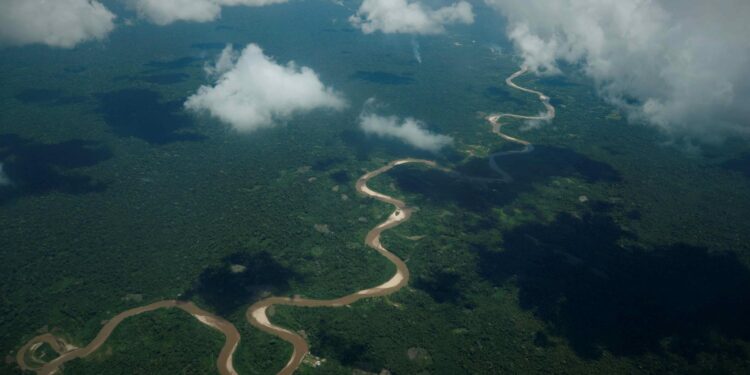 OCDE: Riesgo probable de descontrol del cambio climático con más de 1.5 grados