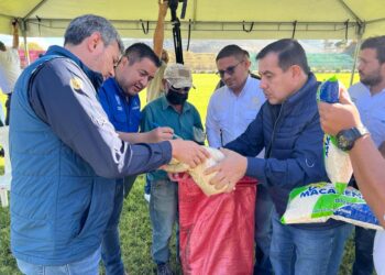 Alimentos por Acciones beneficia a más de mil 900 familias en Jalapa