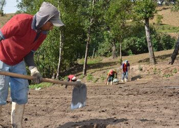 Pequeños productores de Jutiapa reciben estipendio por conservación de suelos