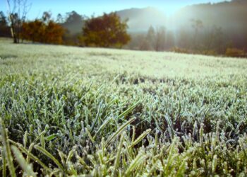 Emiten recomendaciones al sistema agropecuario ante el ingreso de frente frío