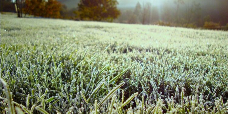 Emiten recomendaciones al sistema agropecuario ante el ingreso de frente frío
