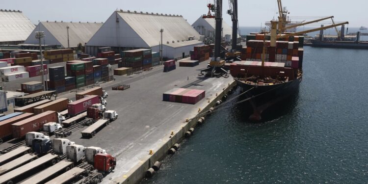 Más de 30 mil usuarios visitaron la Ventanilla Única de Comercio Exterior en el último año