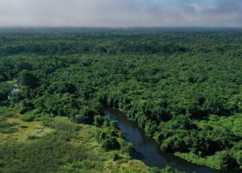 Programa de cooperación impulsa la transición verde en Petén