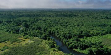 Programa de cooperación impulsa la transición verde en Petén