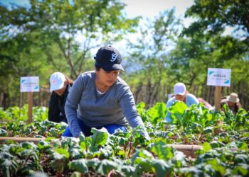 Impulsan desarrollo del empleado público agrícola