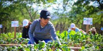 Impulsan desarrollo del empleado público agrícola