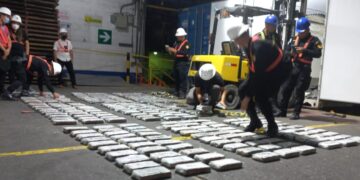 Lucha contra el narcotráfico rinde frutos