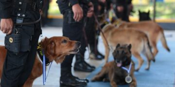 Realizan ceremonia de jubilación y adopción de perros policías