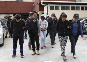 Las fuerzas de seguridad lograron la desarticulación de 66 estructuras criminales durante el año