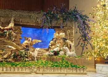 Vaticano inaugura sus belenes y enciende su árbol de Navidad