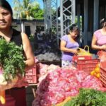Más de 236 millones de quetzales se invirtieron en alimentación escolar para San Marcos 
