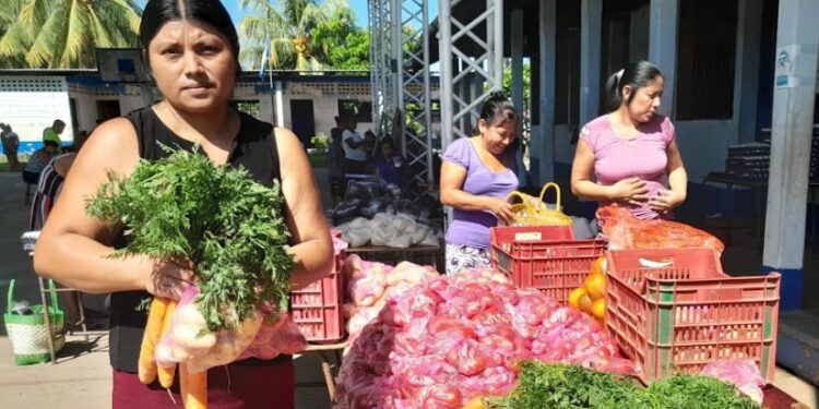 Más de 236 millones de quetzales se invirtieron en alimentación escolar para San Marcos