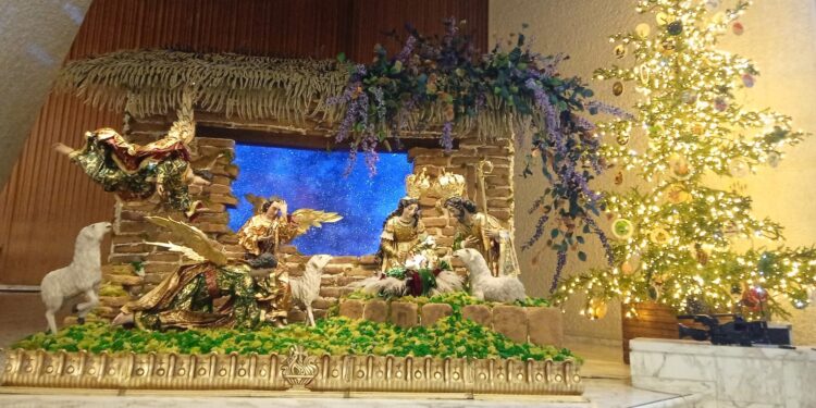 Vaticano inaugura sus belenes y enciende su árbol de Navidad