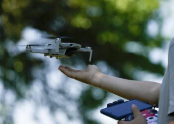 Ruido de drones afecta más a mamíferos que su impacto visual