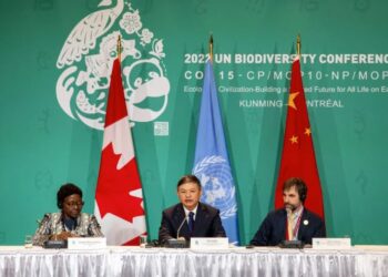 COP15